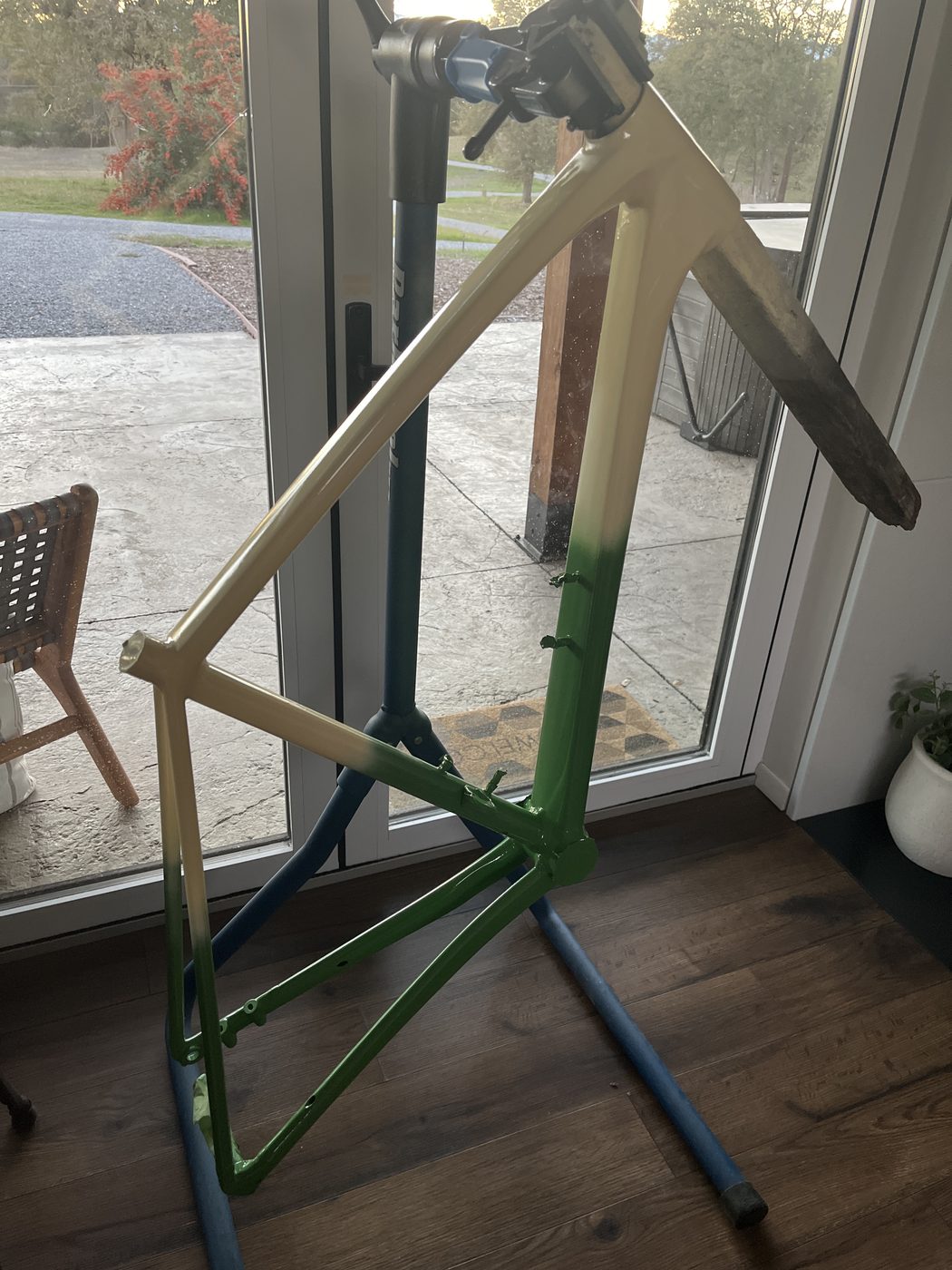 The Emonda frame on a stand, freshly clear-coated, the primrose-to-green fade glossy under the light.