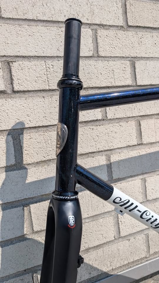 All-City Macho Man Disc frameset in black iridescent paint, from the seller's Marketplace listing. Photo 5 of 8.